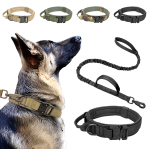 Tactical Collar