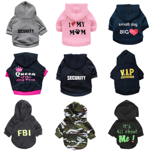 Security Hoodie