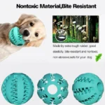 Pawzzle Feeder Ball