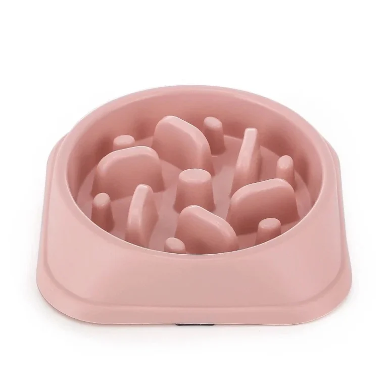 Treat Maze Bowl