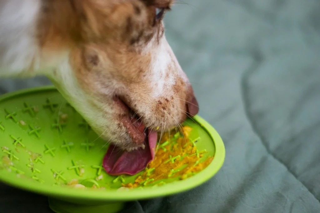 How Lick Mats Calm Anxious Dogs (Vet Visits, Grooming & Fireworks)
