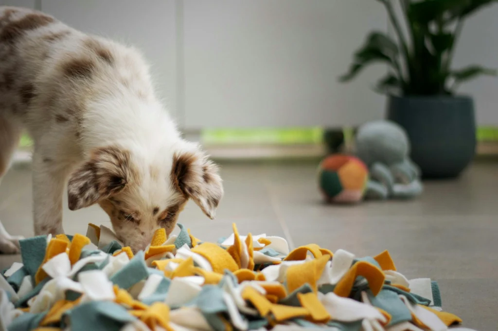 Dog sniffing out treats hidden in a snuffle mat