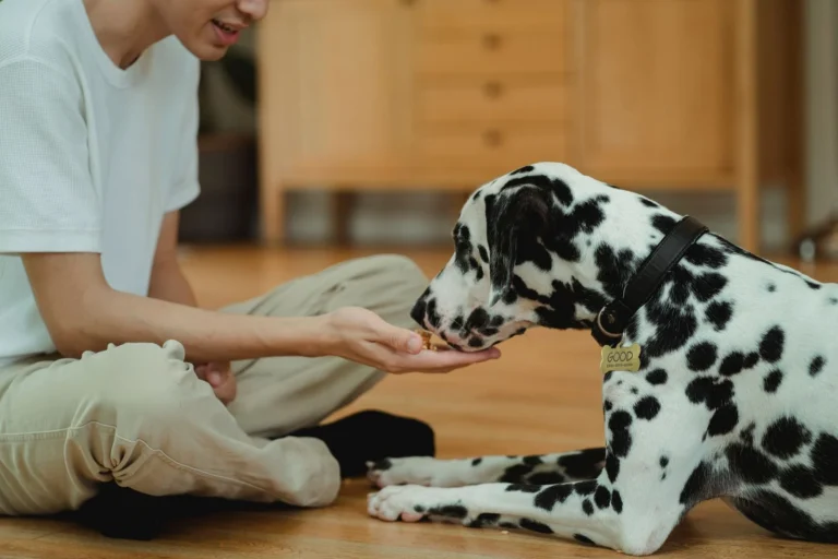 Lick Mats for Dogs: Benefits, Best Toppings & How to Use One