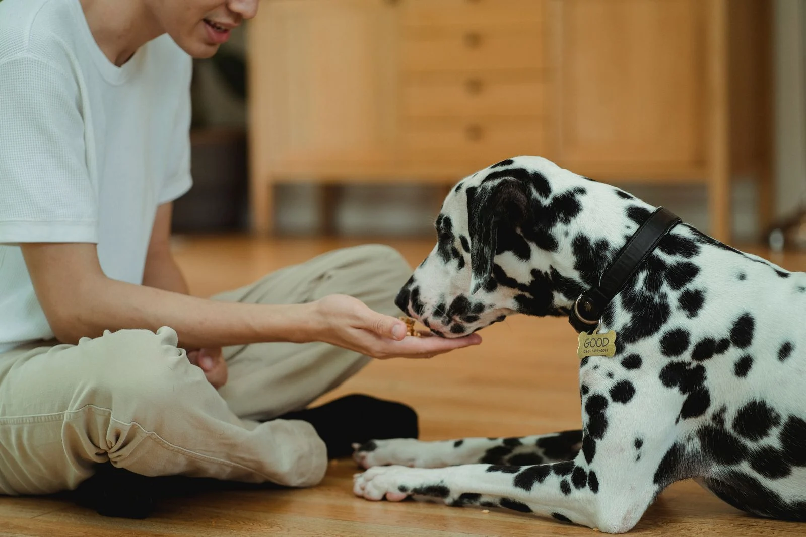 Lick Mats for Dogs: Benefits, Best Toppings & How to Use One