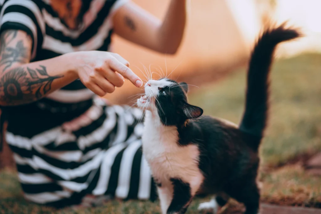Woman gently offering a treat to a black and white cat outdoors