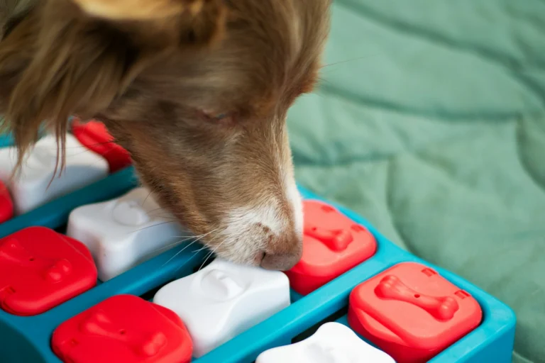 Interactive Dog Puzzle Toy: How to Choose and Our Pick (2026)
