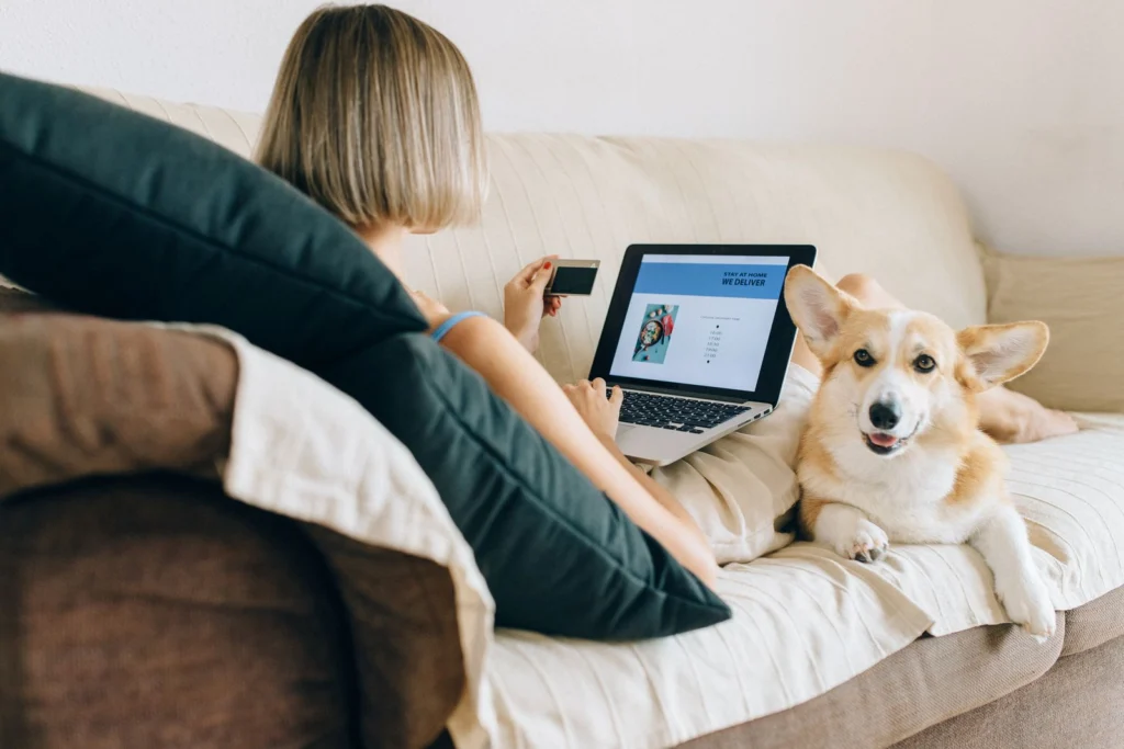 Cyber Monday Pet Deals 2026: Smart Online Shopping for Dogs & Cats