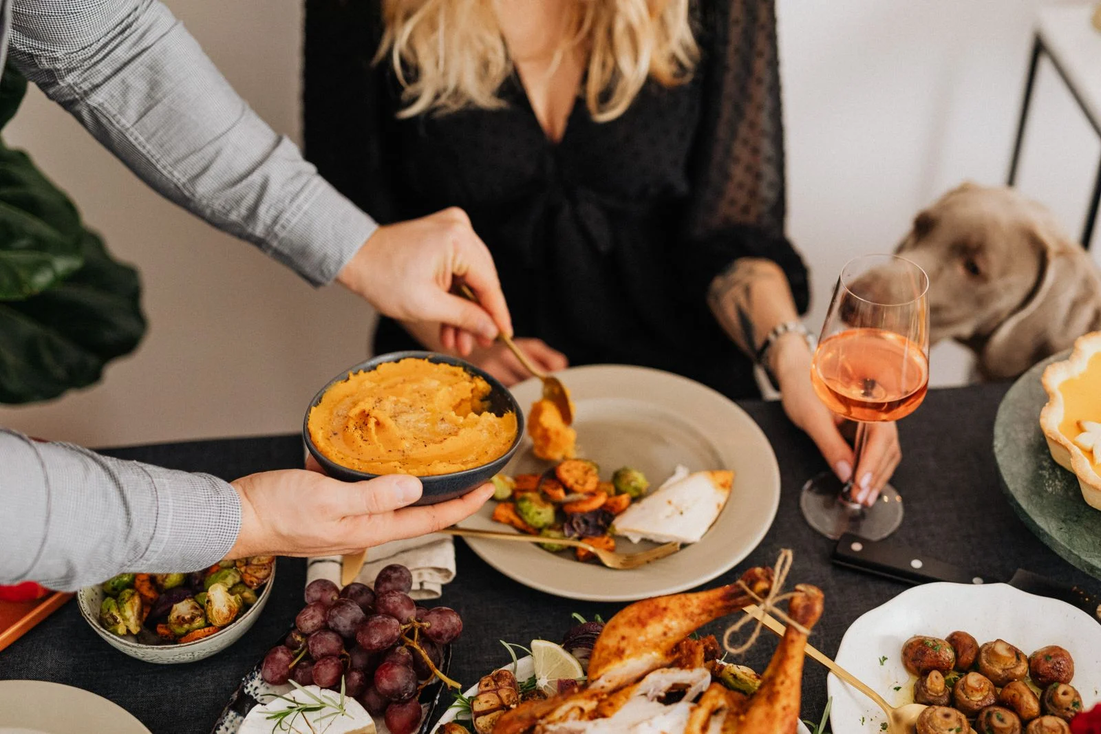 Can Dogs Eat Turkey? Thanksgiving Foods Dogs and Cats Can Eat (2026)