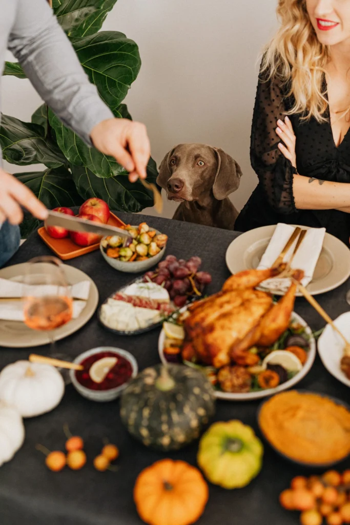 Dog sitting beside a Thanksgiving table with roast turkey, cranberry sauce and small pumpkins