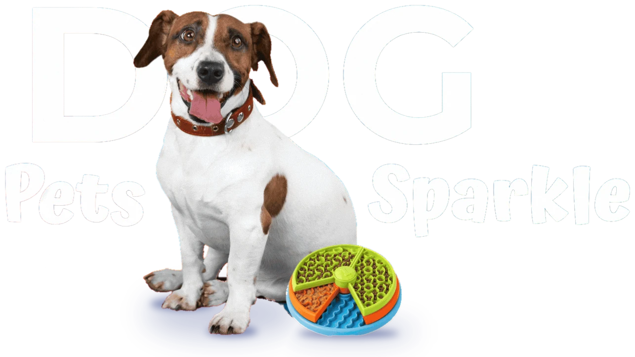 Happy Jack Russell sitting next to a Pets Sparkle slow feeder bowl